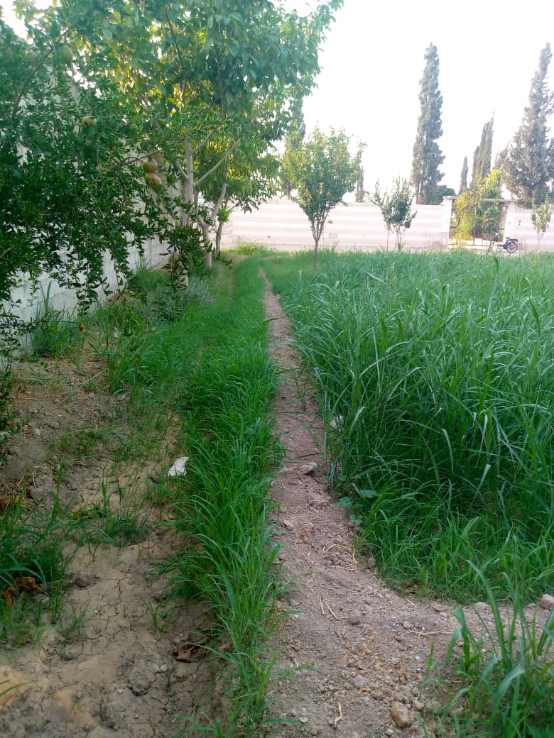 WhatsApp-Image-2026-01-28-at-1.25.51-PM (1)