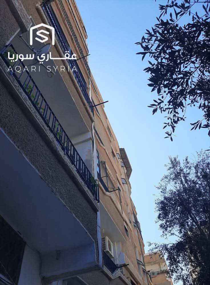 WhatsApp Image 2026-02-04 at 12.43.03 PM