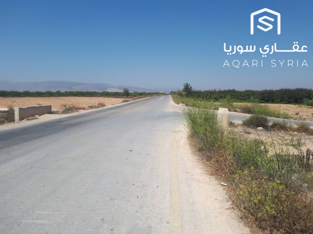 WhatsApp Image 2026-02-04 at 2.48.01 PM