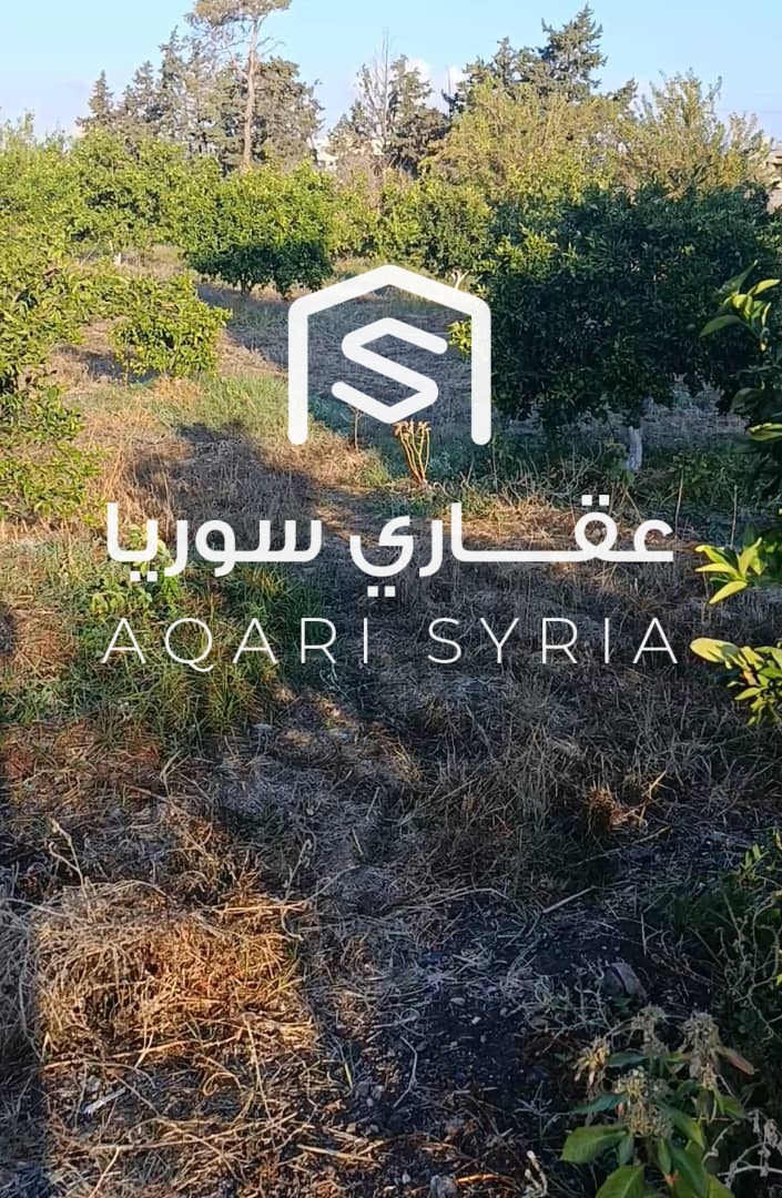 WhatsApp Image 2026-03-05 at 1.14.58 PM (1)