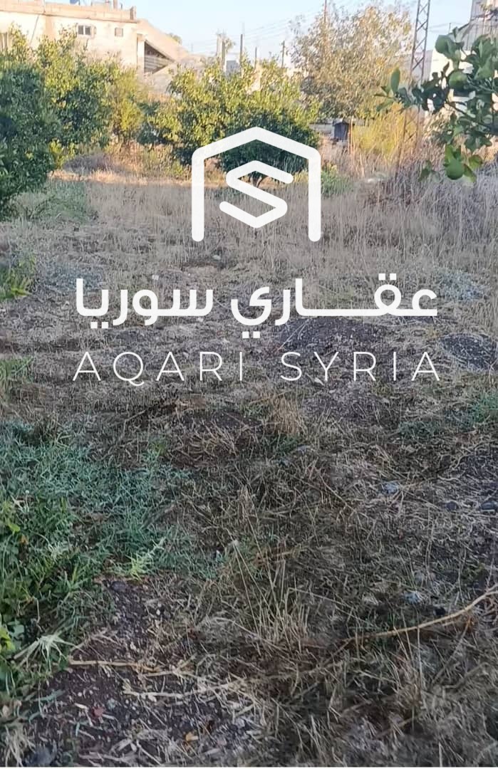 WhatsApp Image 2026-03-05 at 1.14.59 PM (1) (1)