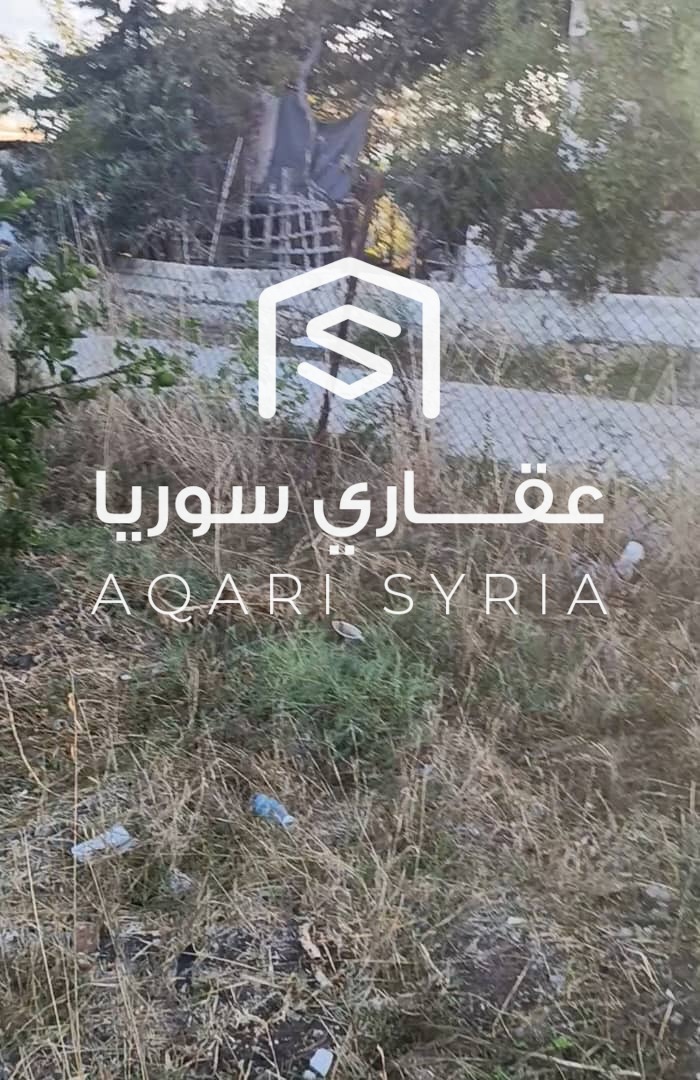 WhatsApp Image 2026-03-05 at 1.14.59 PM (2)