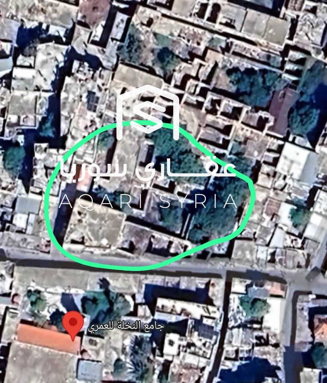 WhatsApp Image 2026-03-08 at 12.21.07 PM (1)